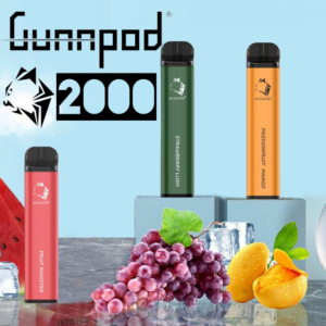 GUNNPOD 2000